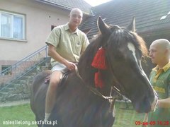 big_fc73ee3d2ae5651ec19cf54cd2a96484.jpg
