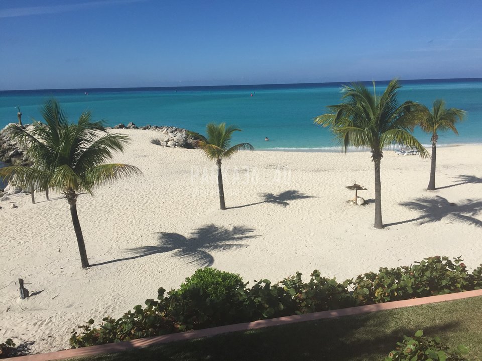 image.jpeg - Parka36_40