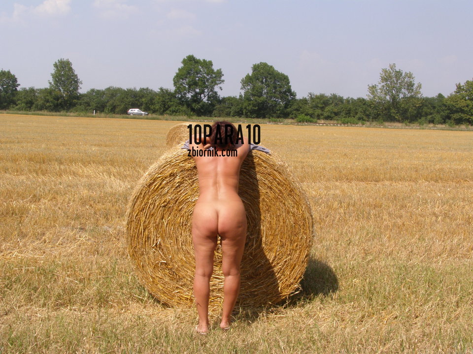 P8113695.JPG - 10para10