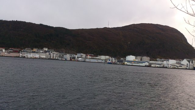 rodzynek9