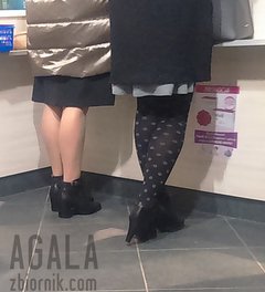 DSC_3919odj.jpg