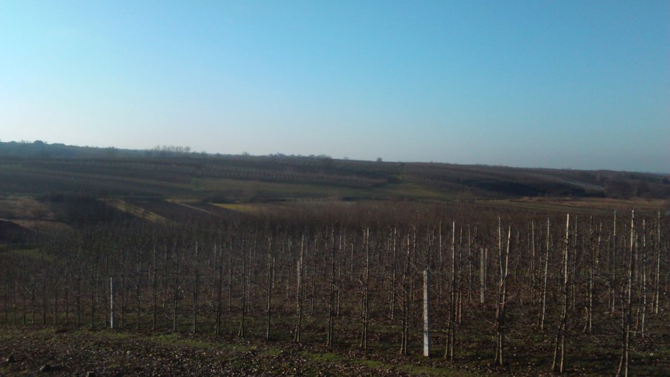 DSC_0026.JPG - Sandomierski_widok