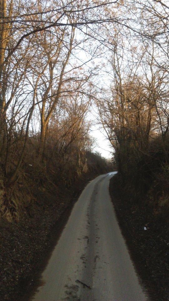 cudna droga - Sandomierski_widok