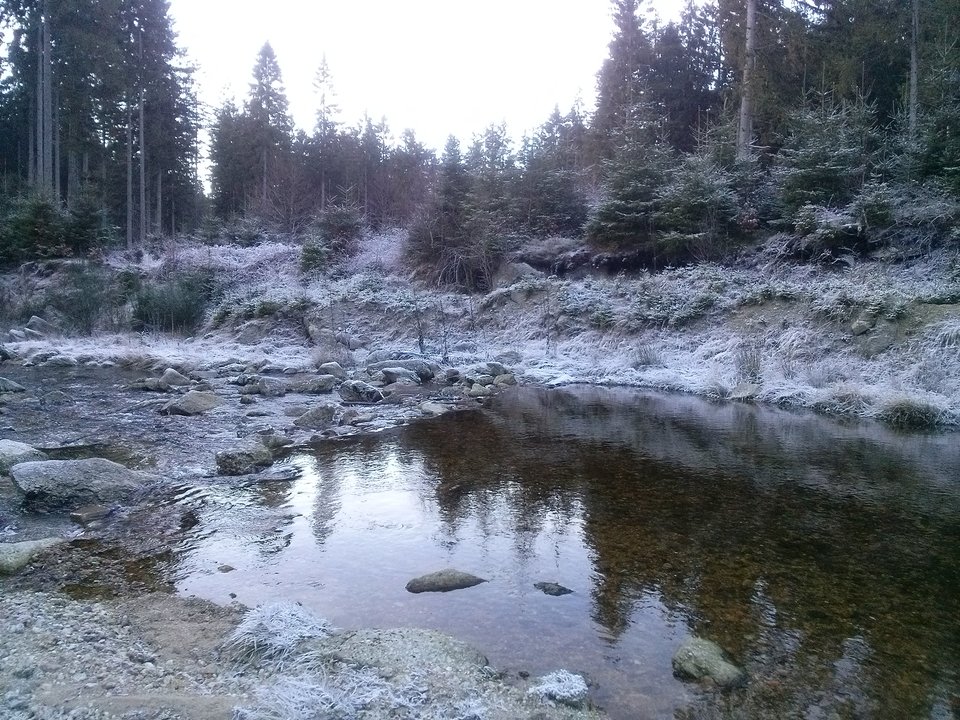 CAM01293.jpg - wariatunciolol