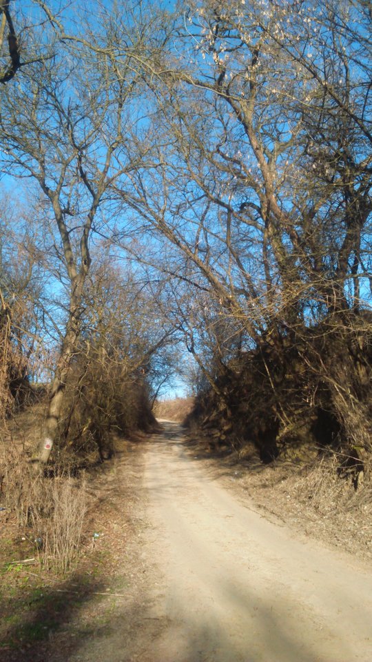 Nowe odkrycie - Sandomierski_widok