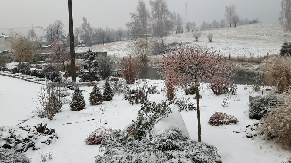 20160102_131657.jpg - 01wacek