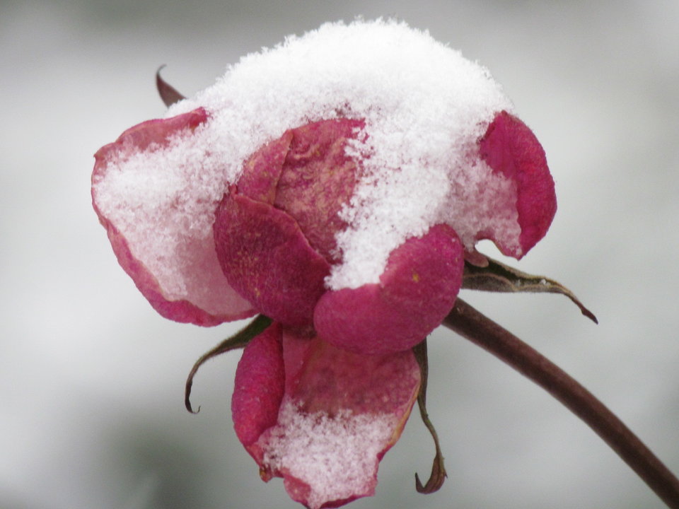 czerwień i biel:) - wodnik50