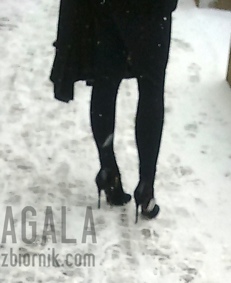 DSC_3989L.jpg - AGALA