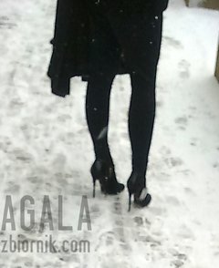 DSC_3989L.jpg