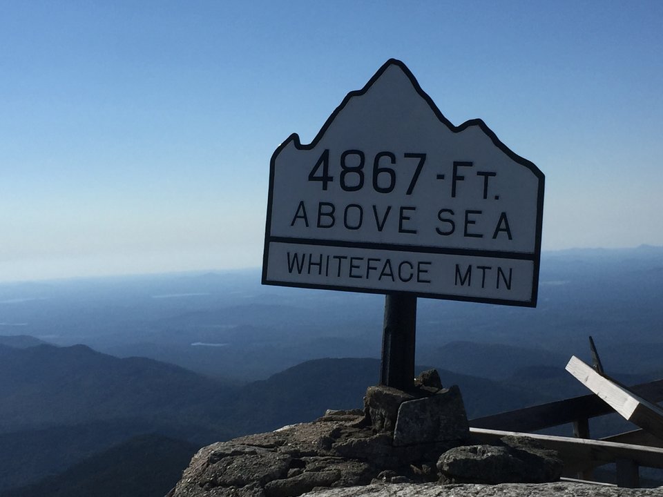 IMG_0276.JPG - GetShorty