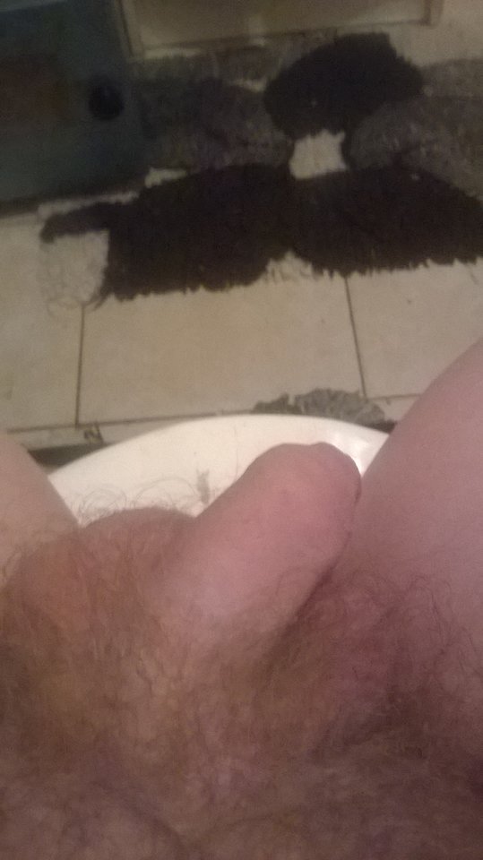 WP_20160111_20_05_13_Pro.jpg - Albert56131