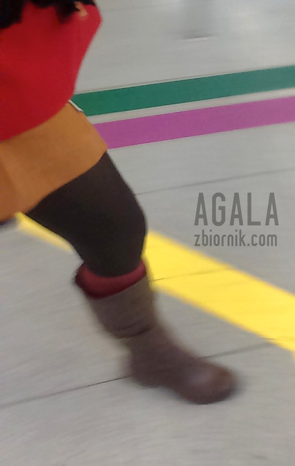DSC_4031v.jpg - AGALA