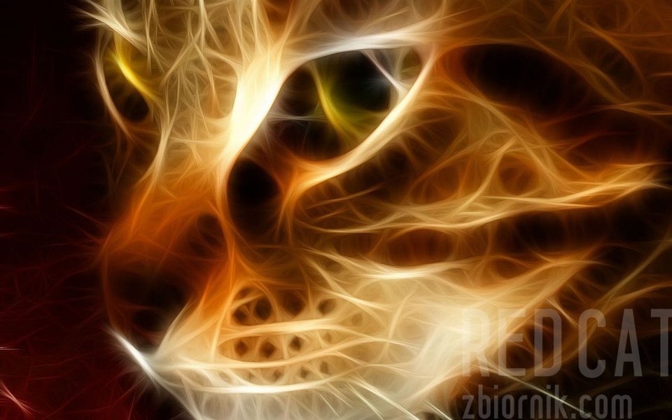 symbol.....a w nim zawiera się wszystko.....ja.... - red cat