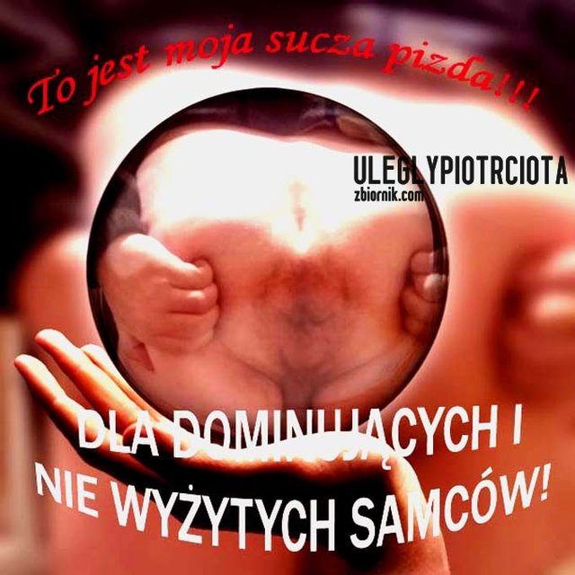 img1452963943928.jpg - UleglyPiotrCiota