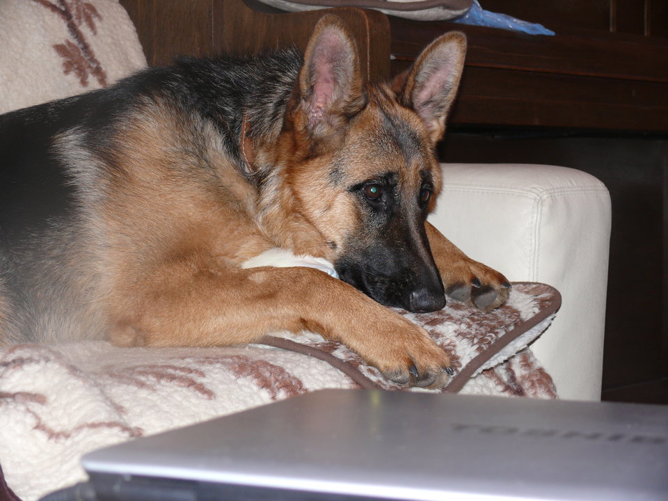 P1140105.JPG - brunet6999