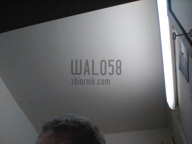 walo58