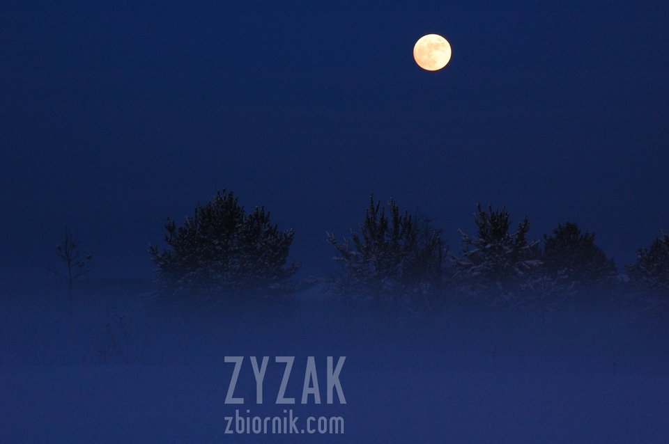 zimowa pełnia - zyzak