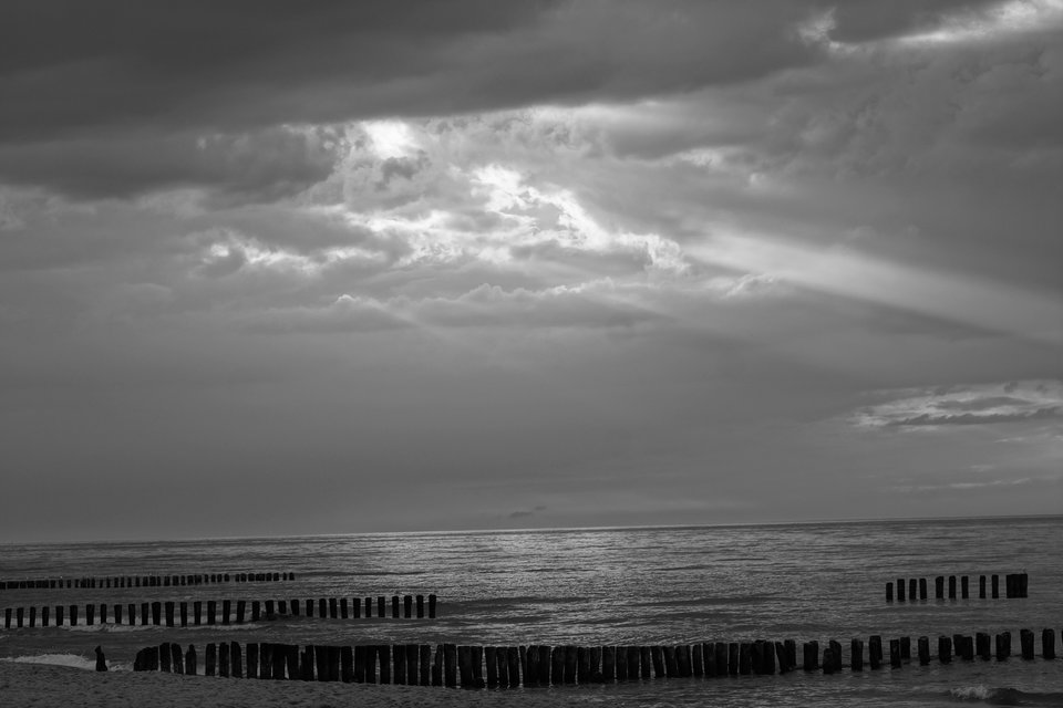 DSC08285.JPG - podgrzybekpl