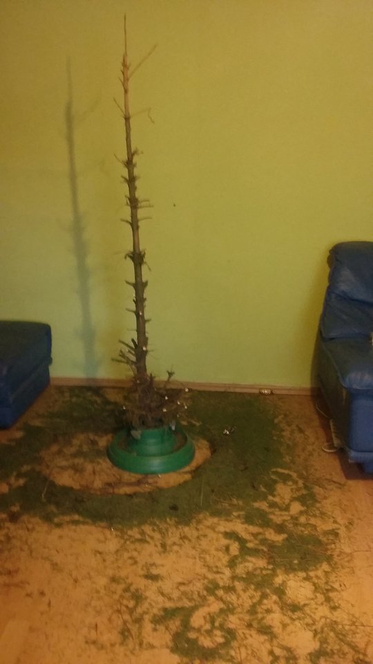 20160116_115223.jpg - larysaflynt