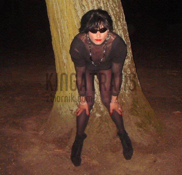 transwhoreja3.jpg - kingatrans
