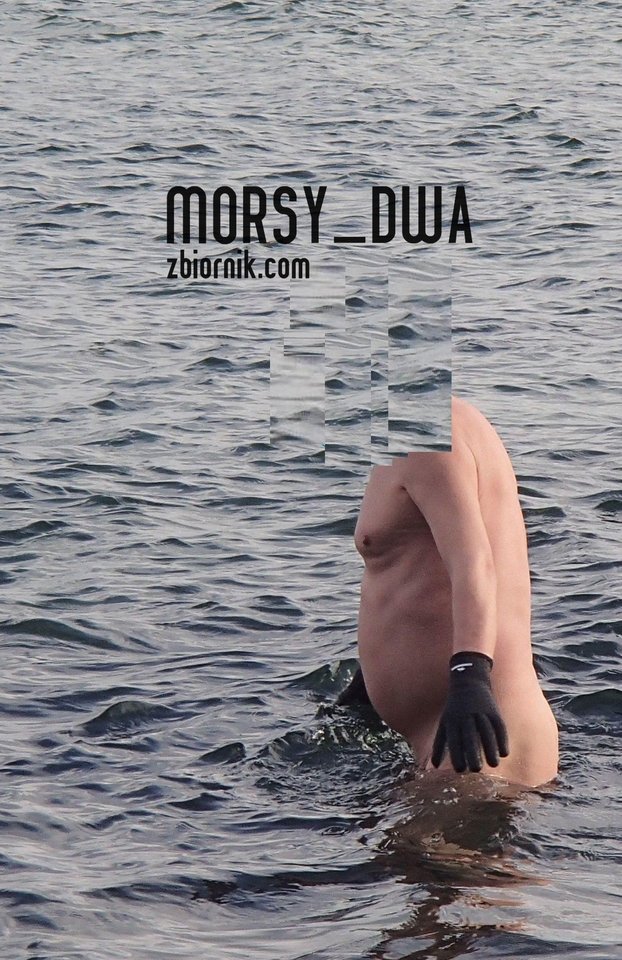 Wejście - Morsy_dwa