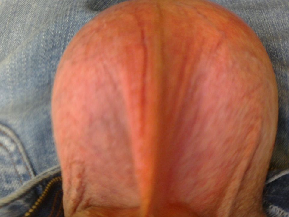 Zdjęcie0731E001.jpg - kelobab