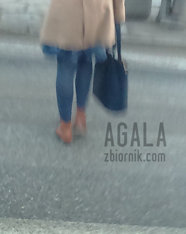 DSC_4281kol.jpg - AGALA