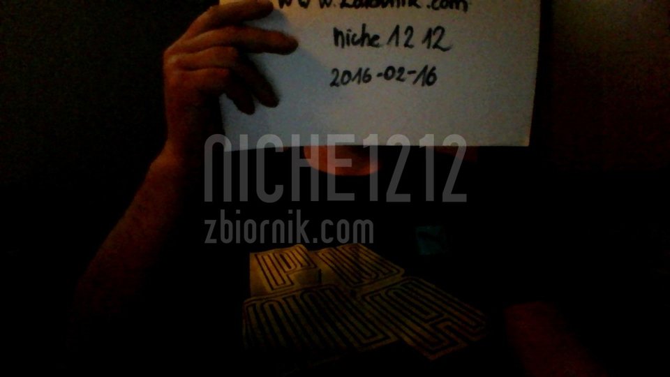 WIN_20160216_03_56_06_Pro.jpg - niche1212