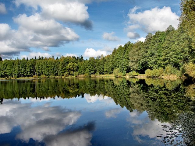 las-woda-i-jesien2.jpg - john_92