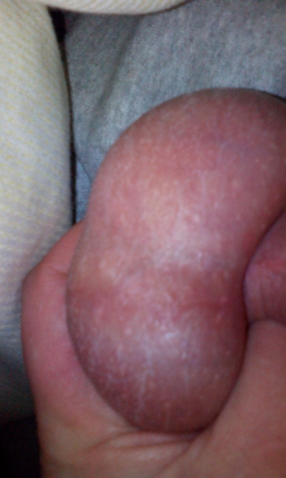 IMG_20160218_204430.jpg - robercu