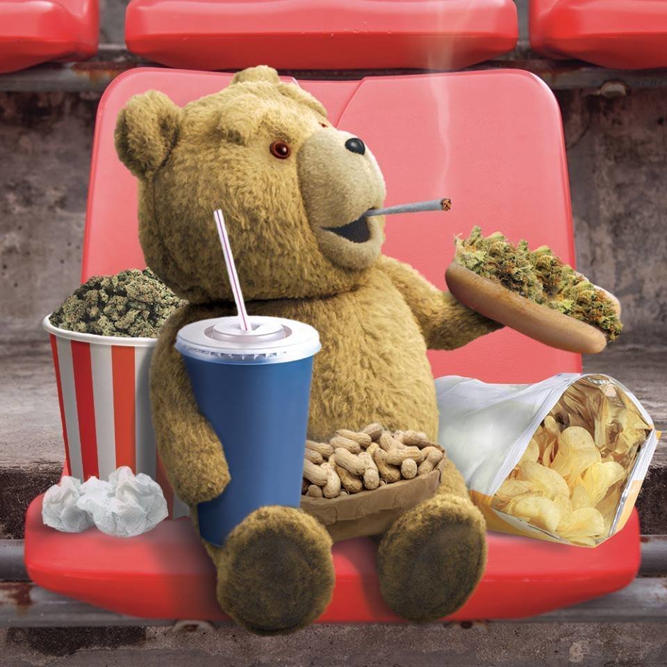 tyyyyyyyyyyyyyyyyyyyyyyyyyyyyy.jpg - mulacik123