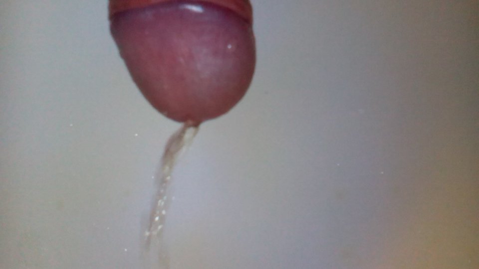 IMG_20160221_055904.jpg - robercu