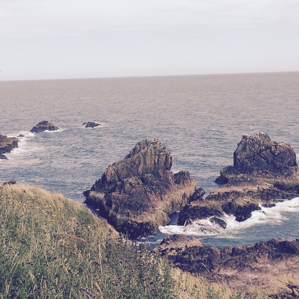 image.jpeg - artur76gda