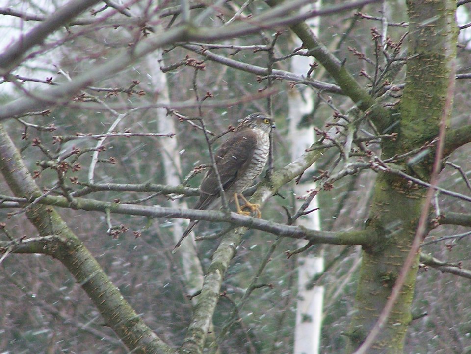 100_1900. - rredmonton