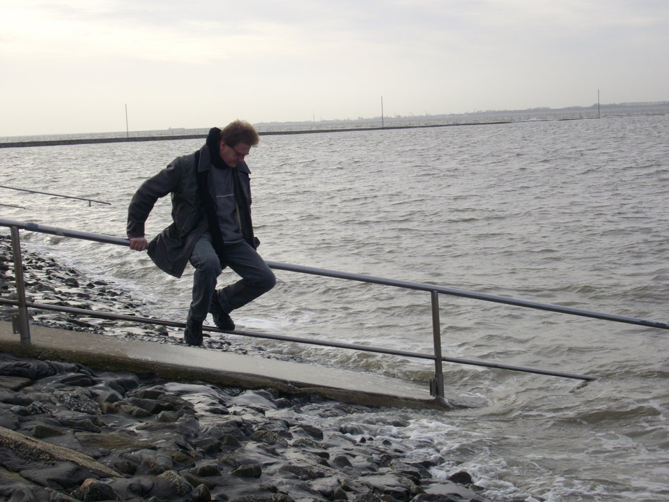 IMGP0213.JPG - DenonMS