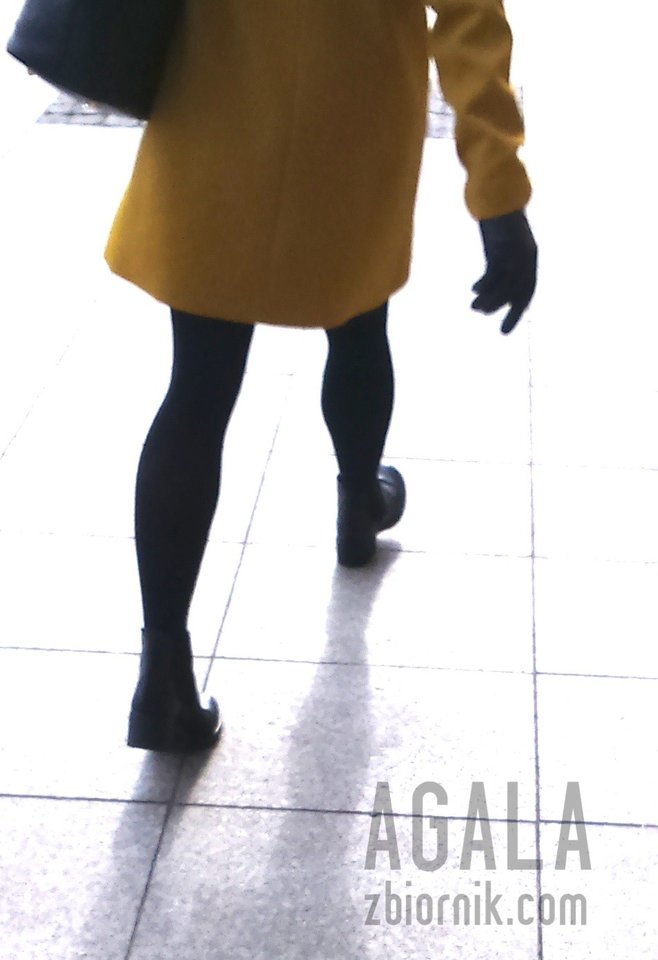 DSC_4844cz.jpg - AGALA