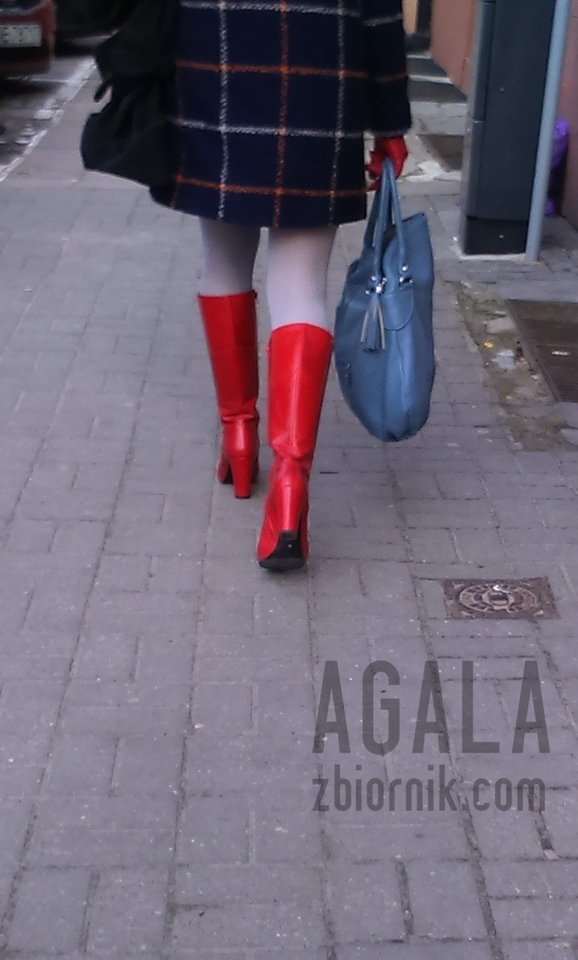 DSC_4829v.jpg - AGALA