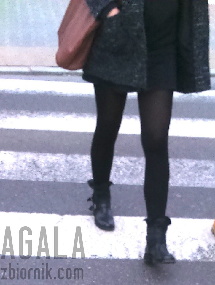 DSC_5032cz.jpg - AGALA