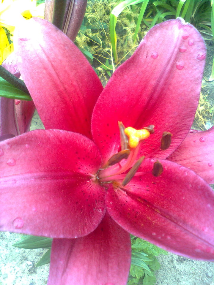 Zdjęcie1208.jpg - agi123