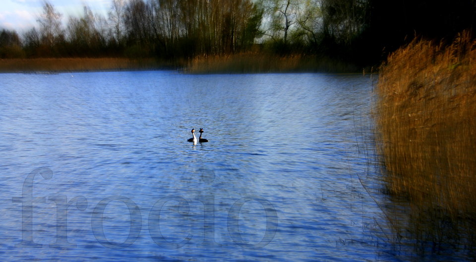 Dzisiaj zawitała do nas kalendarzowa wiosna. Cieszycie się? - frocio