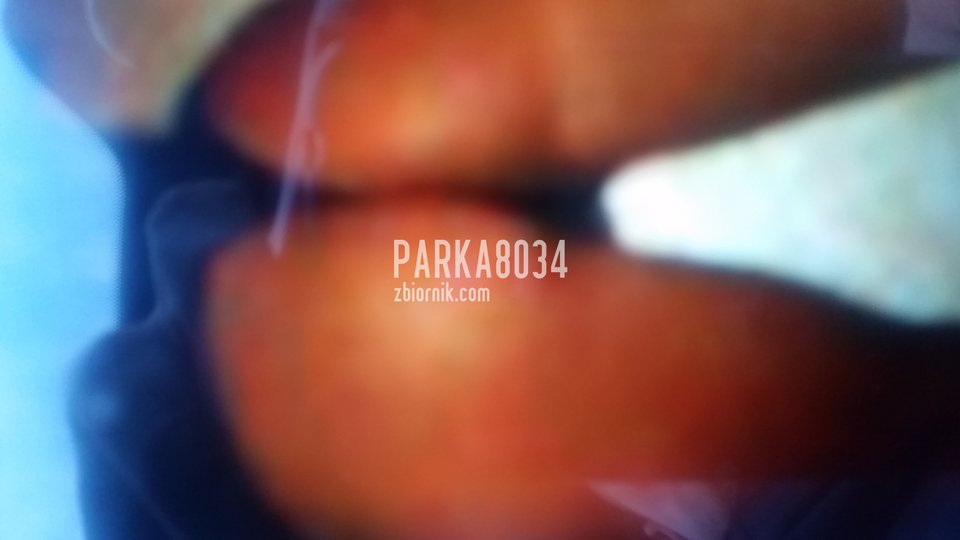 20160320_165850.jpg - Parka8034