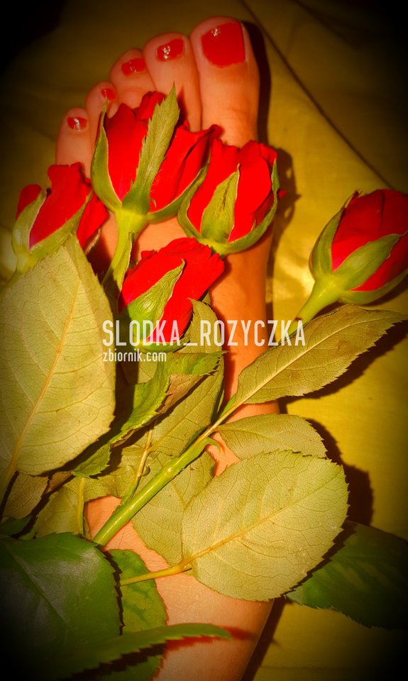 Różyczki; ))) - Slodka_Rozyczka