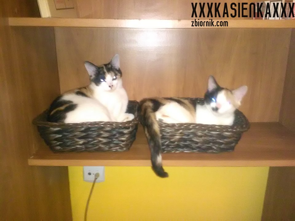 moje milusińskie - xxxkasienkaxxx