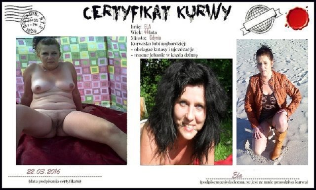 certyfikat kurwy - marela60