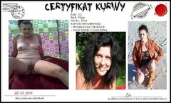 certyfikat kurwy
