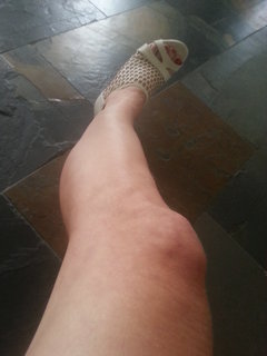 2016-03-25 17.13.41.jpg