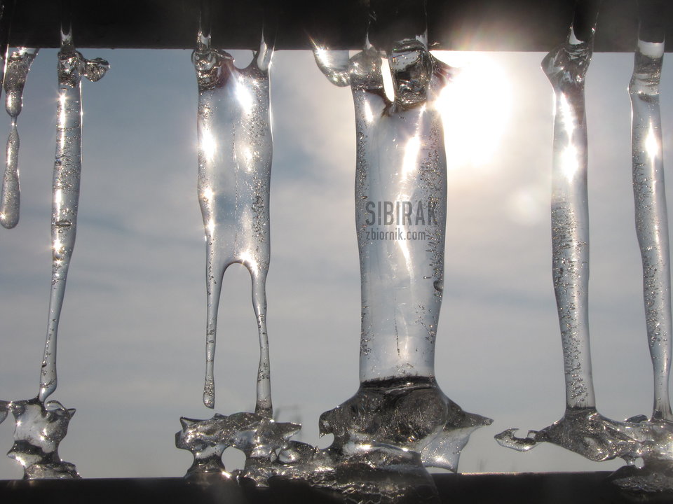 IMG_0787.JPG - sibirak