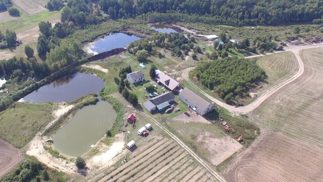Tak nas jaskółki widzą - Nastroje3