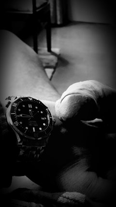 2016-01-07 11.45.14.jpg