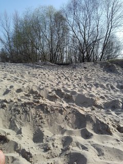 Pierwsze opalanie 05.04.2016.jpg